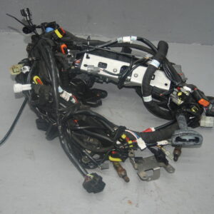 2022 KTM 1290 SUPER ADV R HARNESS