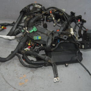 2011 APRILIA DORSODURO 1200 HARNESS